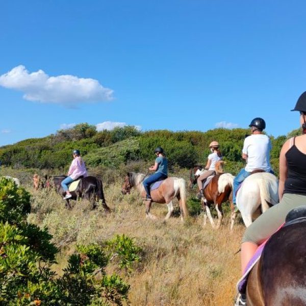 corfu horseriding 2